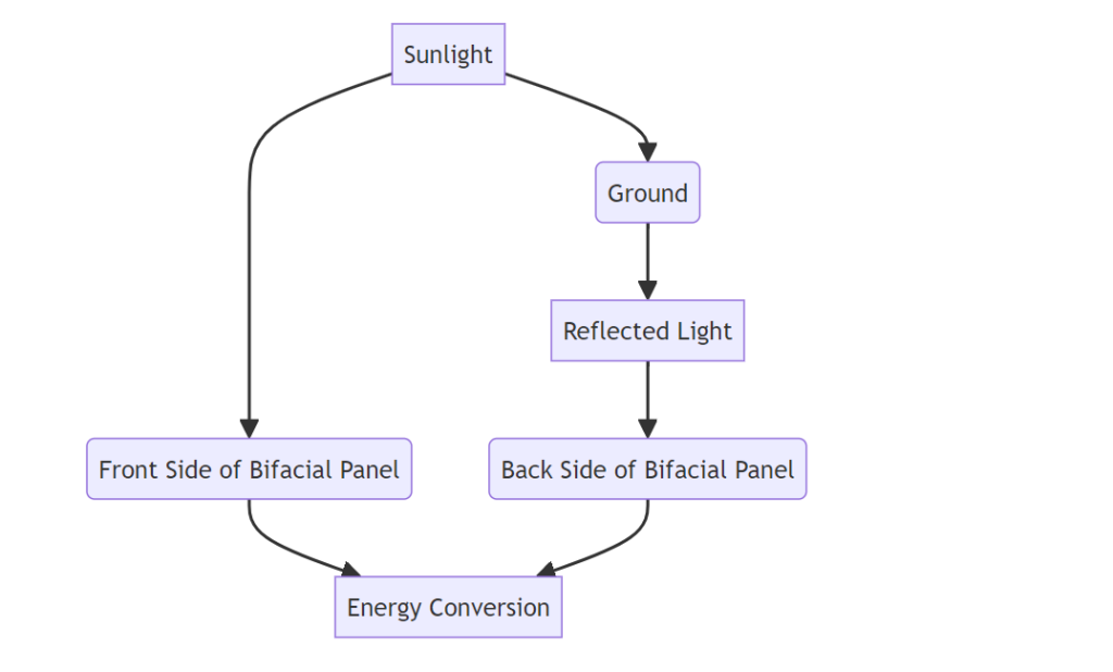 Diagram of Bifacial Solar Panel Setup